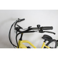 Дешевая цена новой модели электрического велосипеда, сделанного в Китае / электрический пляжный круизный велосипед